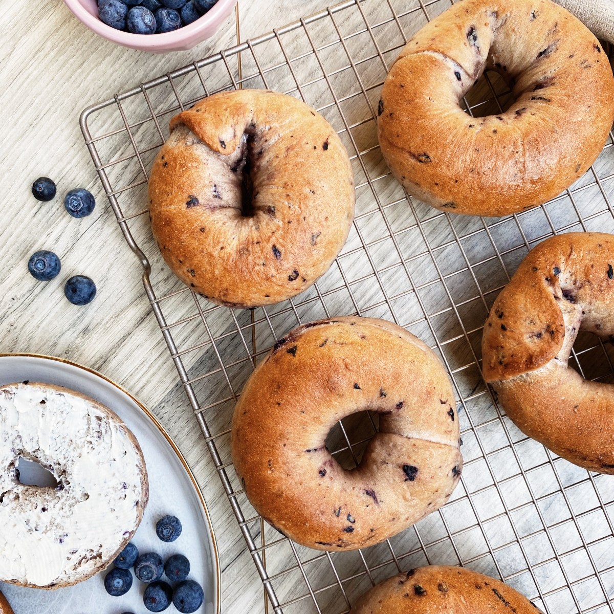 藍 莓 貝 果 ❘ 𝘍𝘖𝘖𝘋